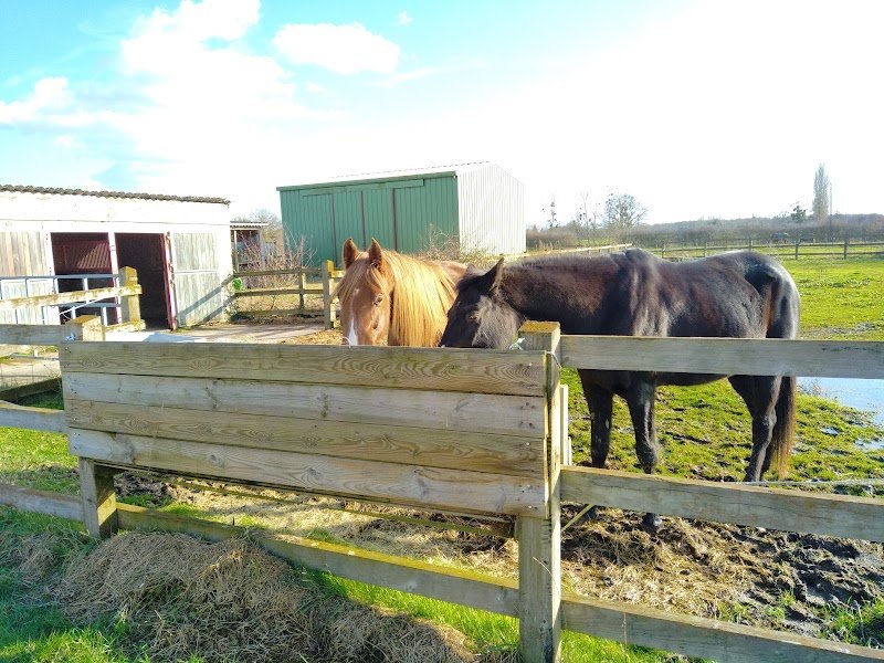 Écurie Grand Bois - photo 2