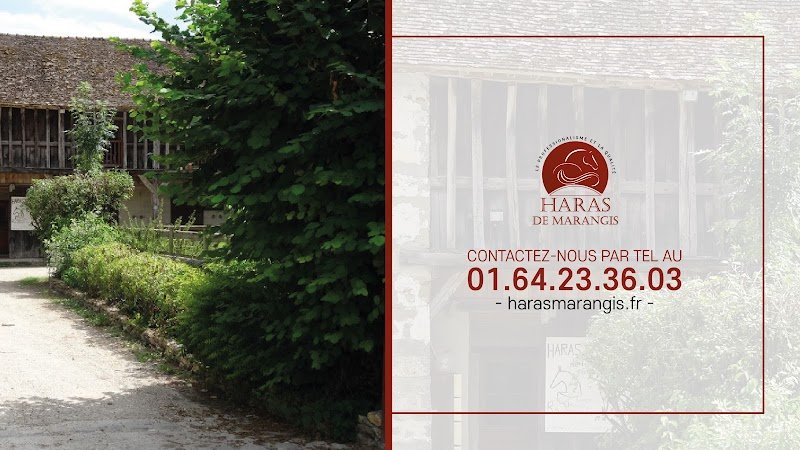 Haras de Marangis | Centre équestre | Pensions pour chevaux (77) - photo 1