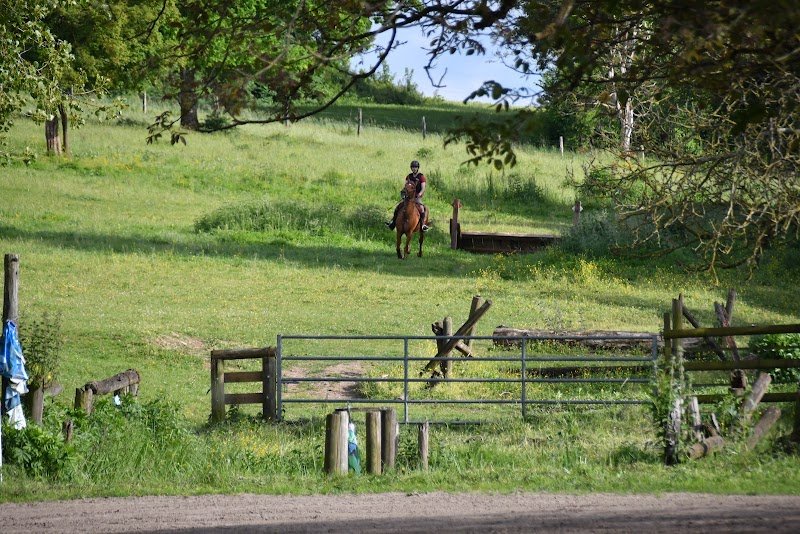 Haras de Marangis | Centre équestre | Pensions pour chevaux (77) - photo 2