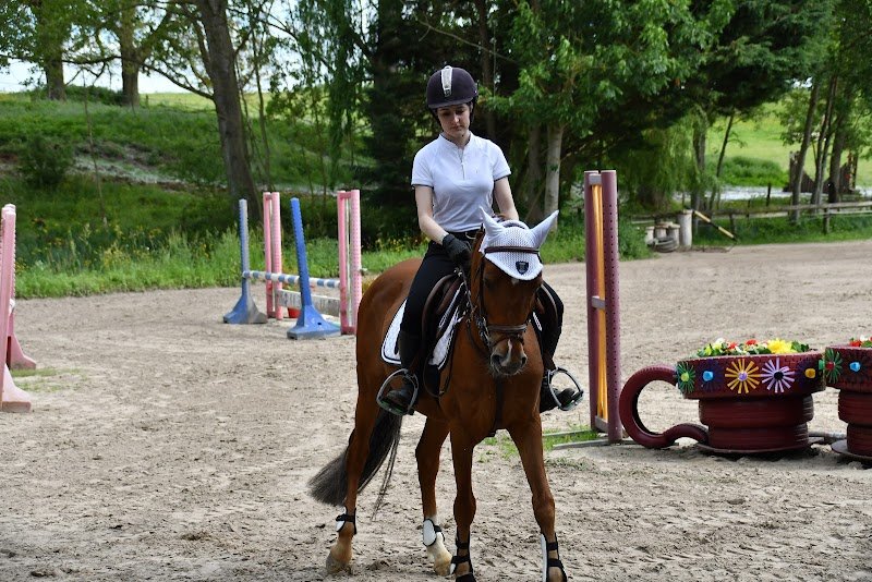 Haras de Marangis | Centre équestre | Pensions pour chevaux (77) - photo 3