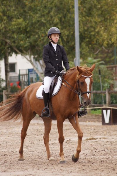 Centre Equestre Les Rives de Paris - Neuilly-sur-Marne - photo 1