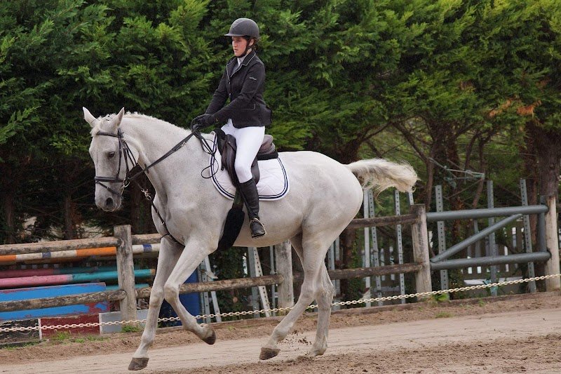 Centre Equestre Les Rives de Paris - Neuilly-sur-Marne - photo 2