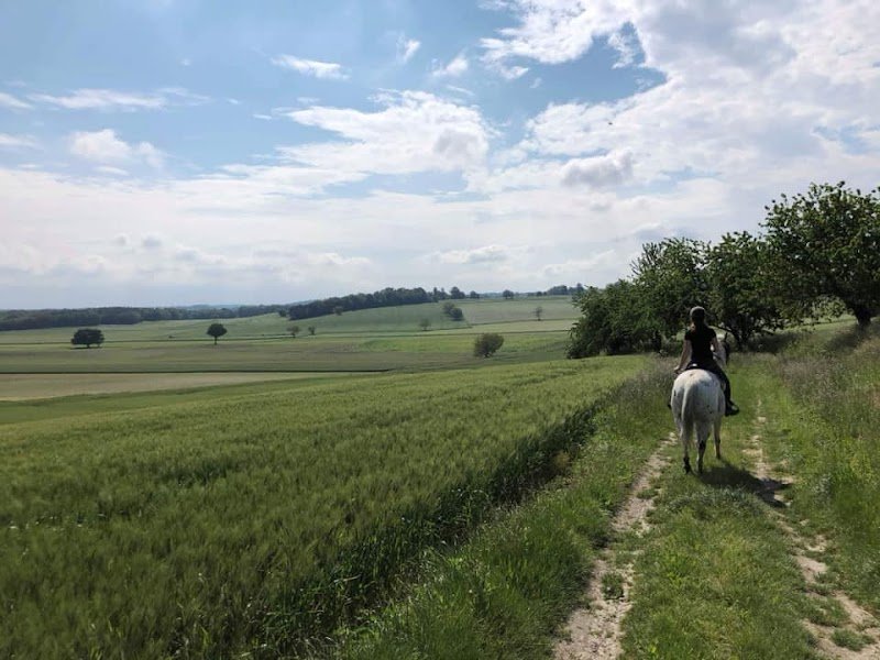 Pension Du Lys - photo 2