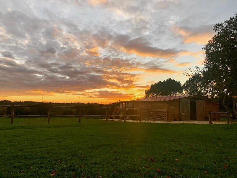 Pension Du Lys - photo 3