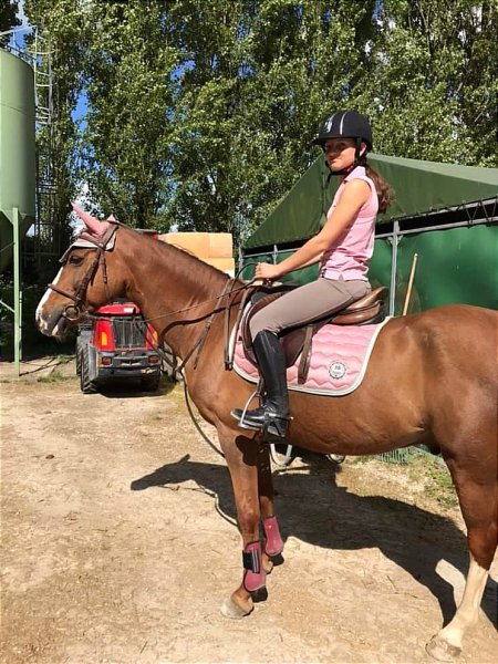 Ecurie des Lys - photo 1