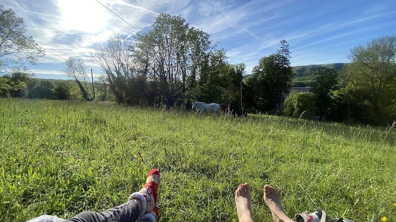 Haras du Lys - photo 2