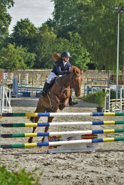 Les Ecuries du Lys, équitation perfectionnement, compétitions