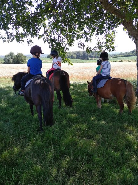 Les Ecuries du Lys, équitation perfectionnement, compétitions - photo 2