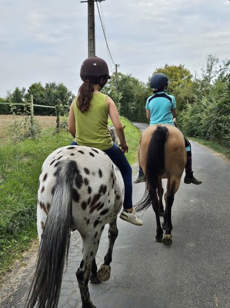 Les Ecuries du Lys, équitation perfectionnement, compétitions - photo 3