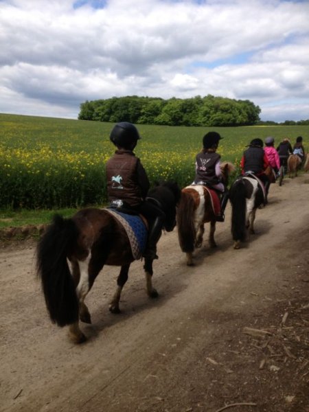 ECURIES DE LA GARENNE - photo 2