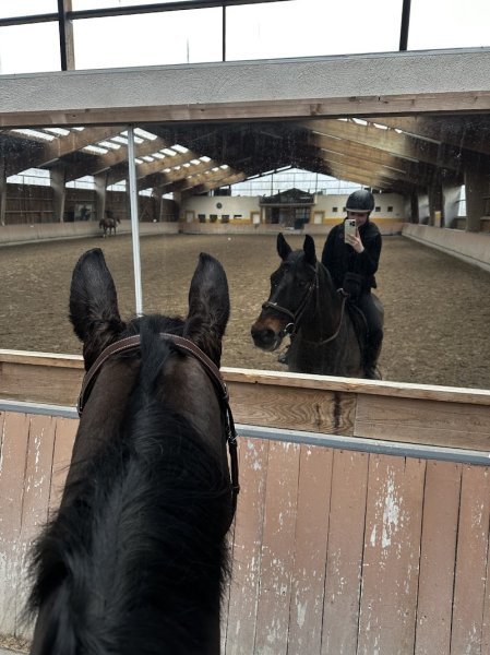 Ecurie A.S.M - photo 1