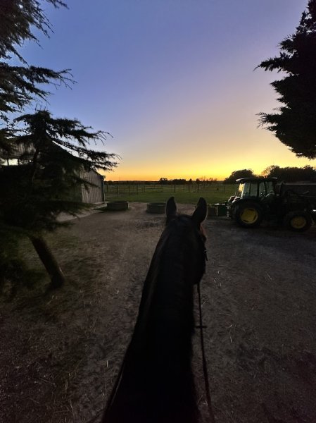 Ecurie A.S.M - photo 2