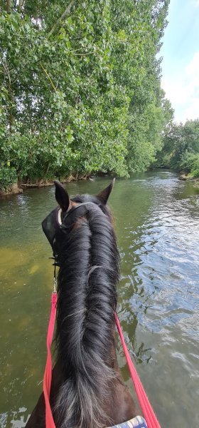 Ecurie A.S.M - photo 3