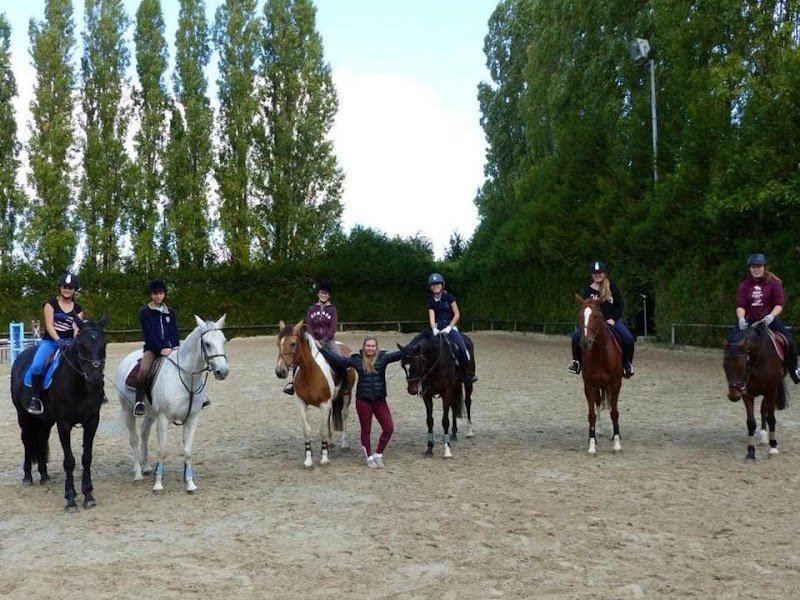 Haras du Sauvoy - Ecurie de propriétaires - photo 2