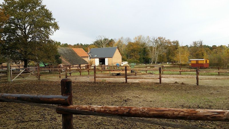 L'Ecurie des 2 Etangs - photo 1