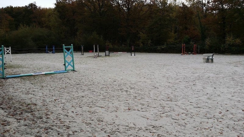 L'Ecurie des 2 Etangs - photo 2