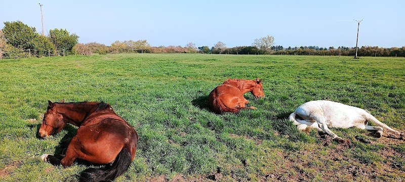 Pension au pré - photo 2