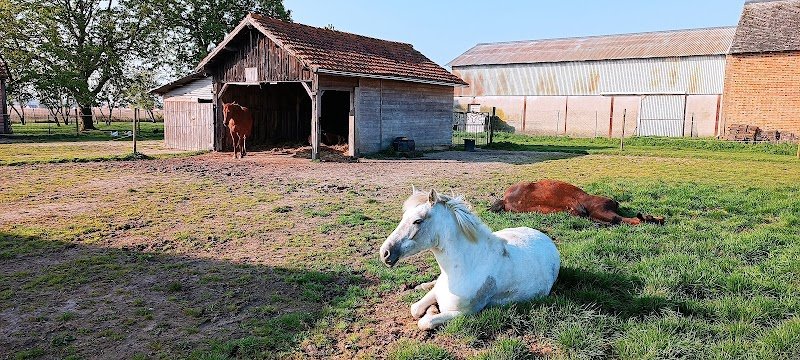Pension au pré - photo 3