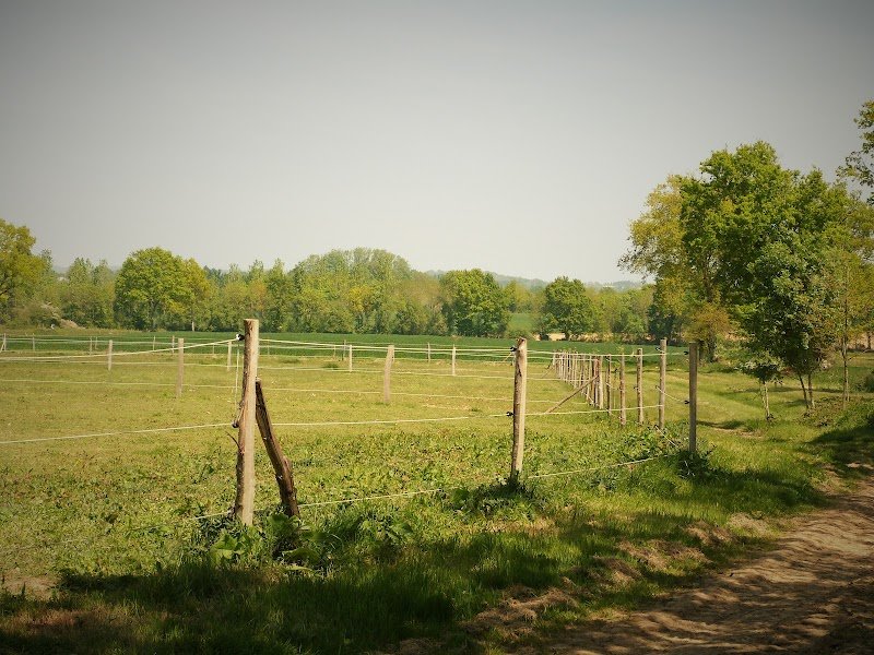 Ecurie de la Morinière - photo 2