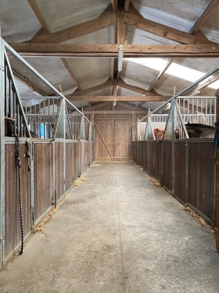 Ecuries New World Horses - photo 1