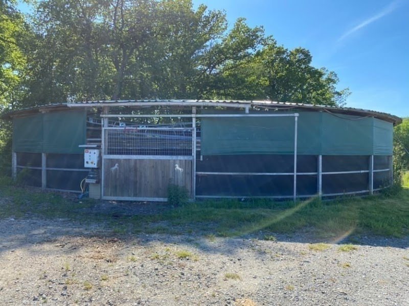 Ecuries New World Horses - photo 2