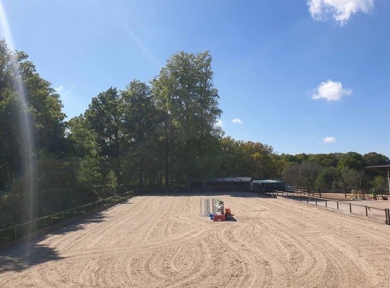 Ecuries New World Horses - photo 3