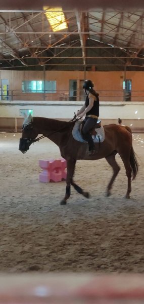 Centre Equestre de Luxeuil - photo 2