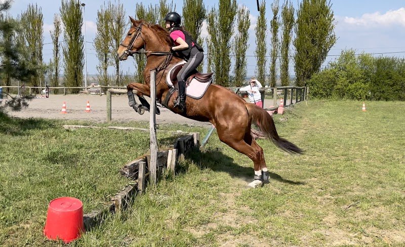 Centre Hippique Graylois