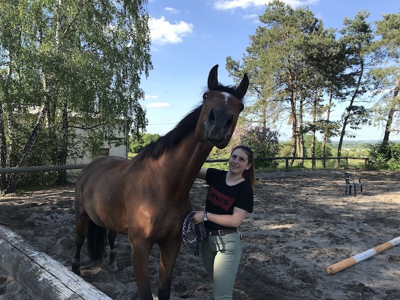 Centre Hippique Graylois - photo 2