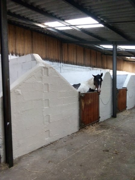 Centre Hippique Graylois - photo 3