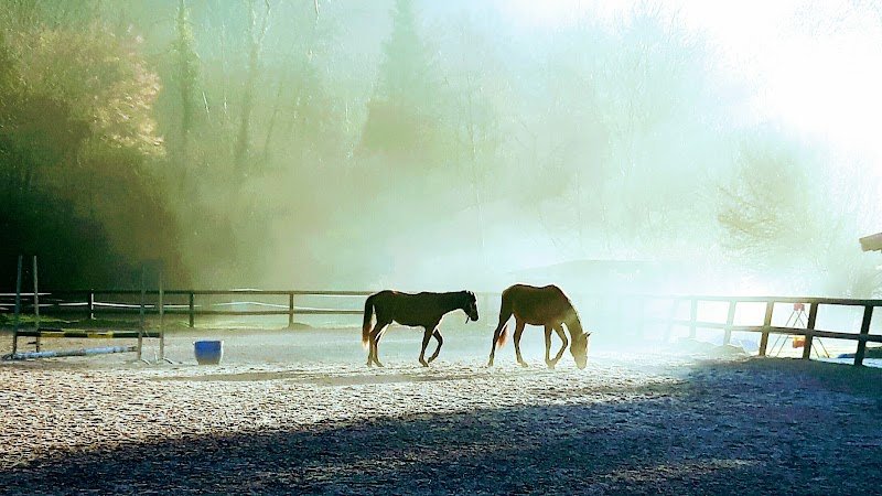 Ferme Equestre des 3 Rivières