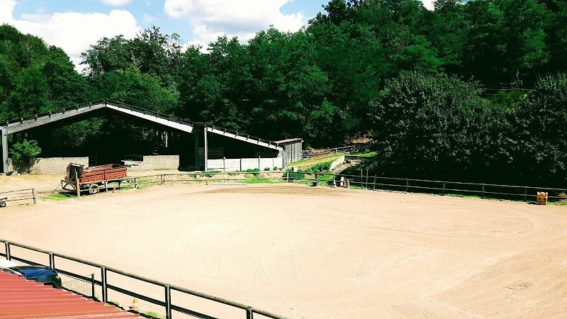 Ferme Equestre des 3 Rivières - photo 2