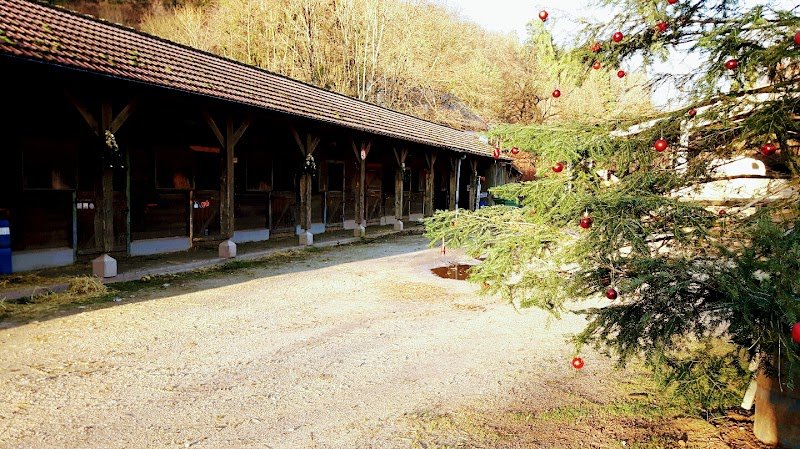 Ferme Equestre des 3 Rivières - photo 3