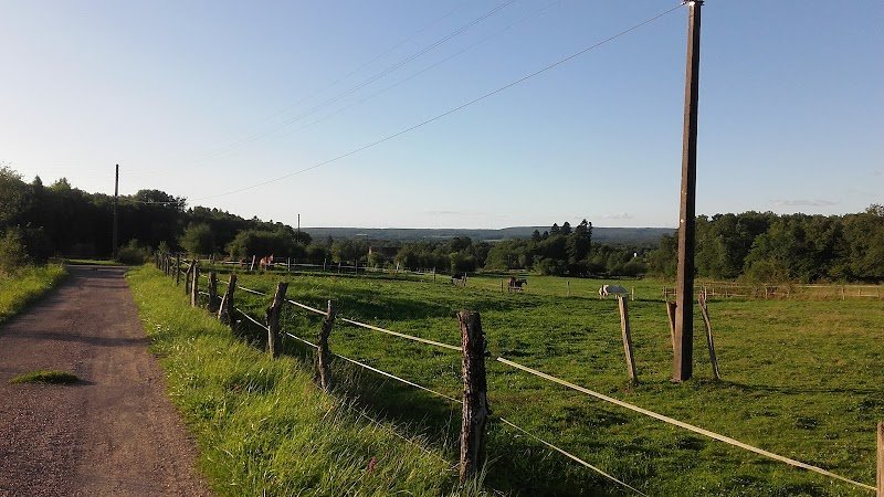 Haras Mansolein - photo 2