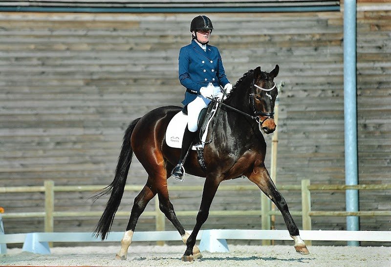 Haras Mansolein - photo 3