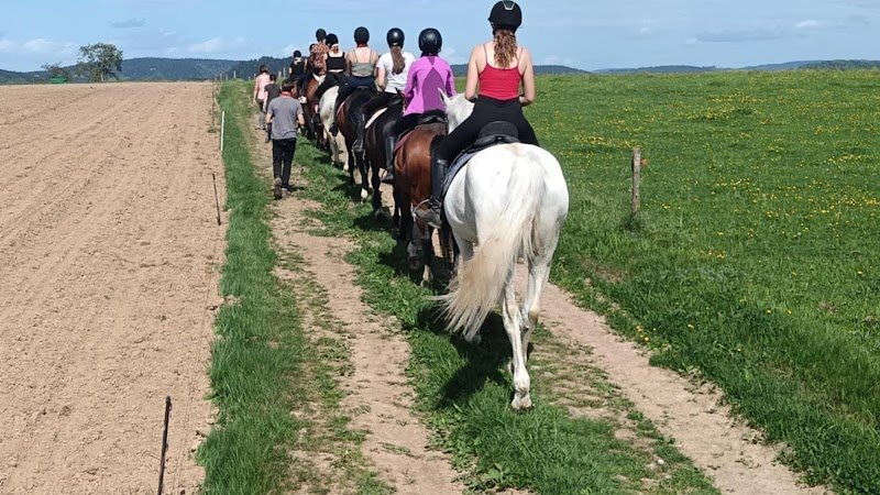 Ferme équestre La Sentinelle - photo 1