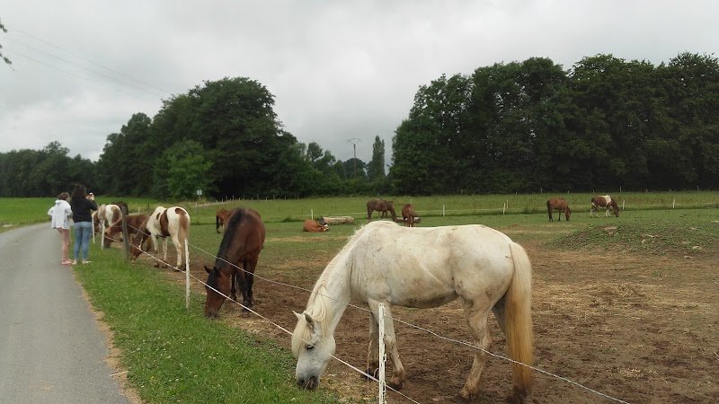 Ferme équestre La Sentinelle - photo 3