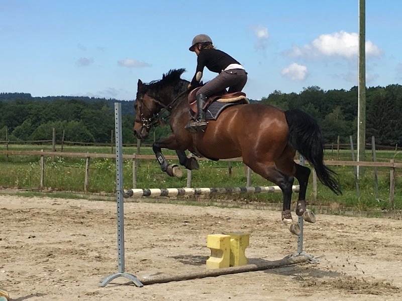 Braganti Adeline Manège des mille étangs - photo 1