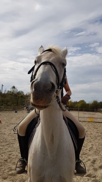 Braganti Adeline Manège des mille étangs - photo 2