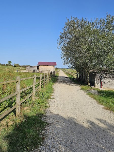 Haras du cheval gris - photo 1