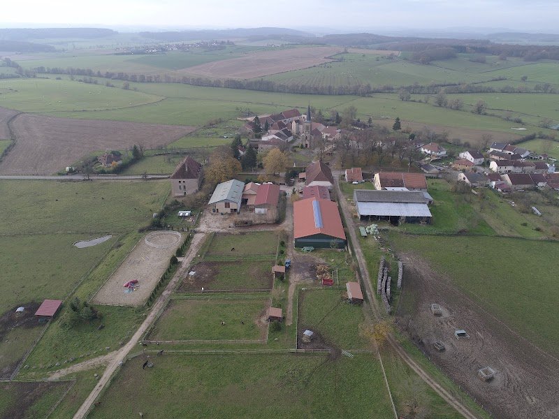 Haras du cheval gris - photo 2