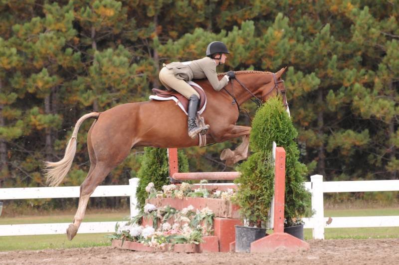 Écuries De L Oxer - photo 1