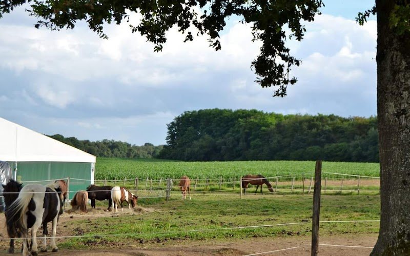 Écuries De L Oxer - photo 3