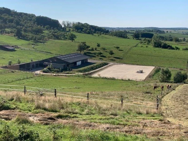 Centre équestre élevage kerveyer - photo 2