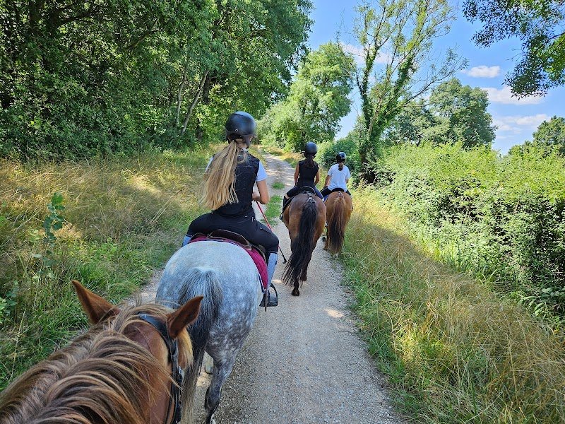 Centre Equestre de Marnay - photo 3