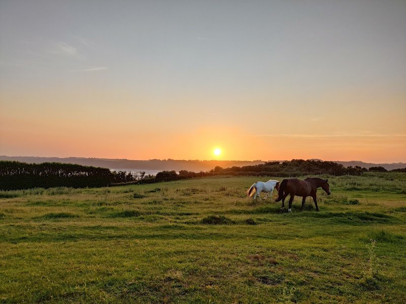 Écurie Saint-Germain
