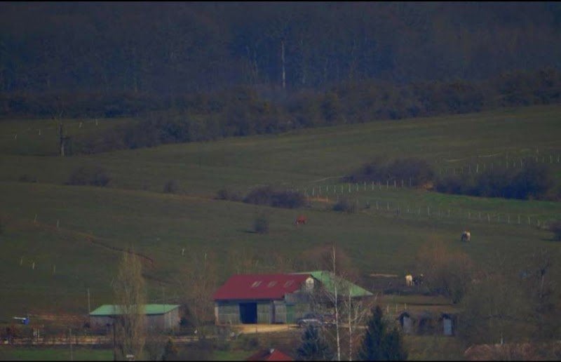 Club Equestre de Paddington - photo 3