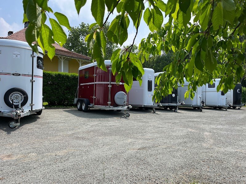 Le Cheval Mobile - photo 1