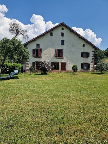 Chevaux au soleil - photo 1