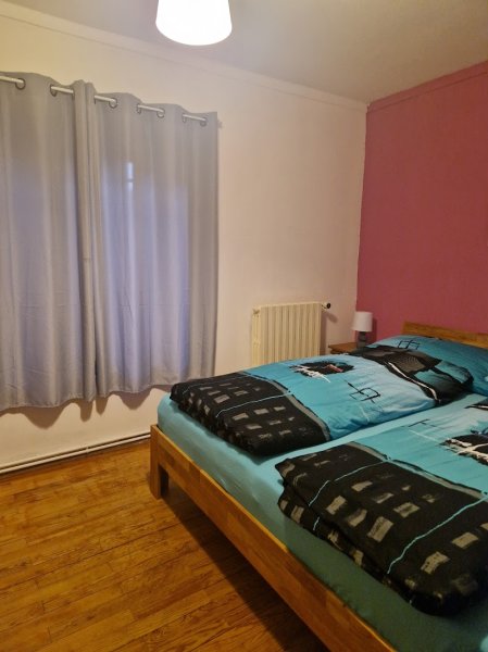 Chevaux au soleil - photo 2